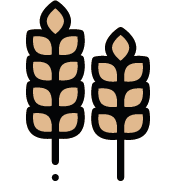 Gluten