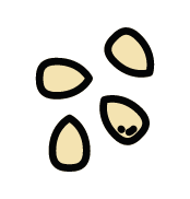Sésamo